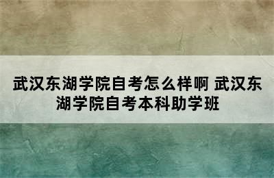 武汉东湖学院自考怎么样啊 武汉东湖学院自考本科助学班